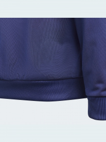 Кофта Adidas Adicolor модель H37863 Фото