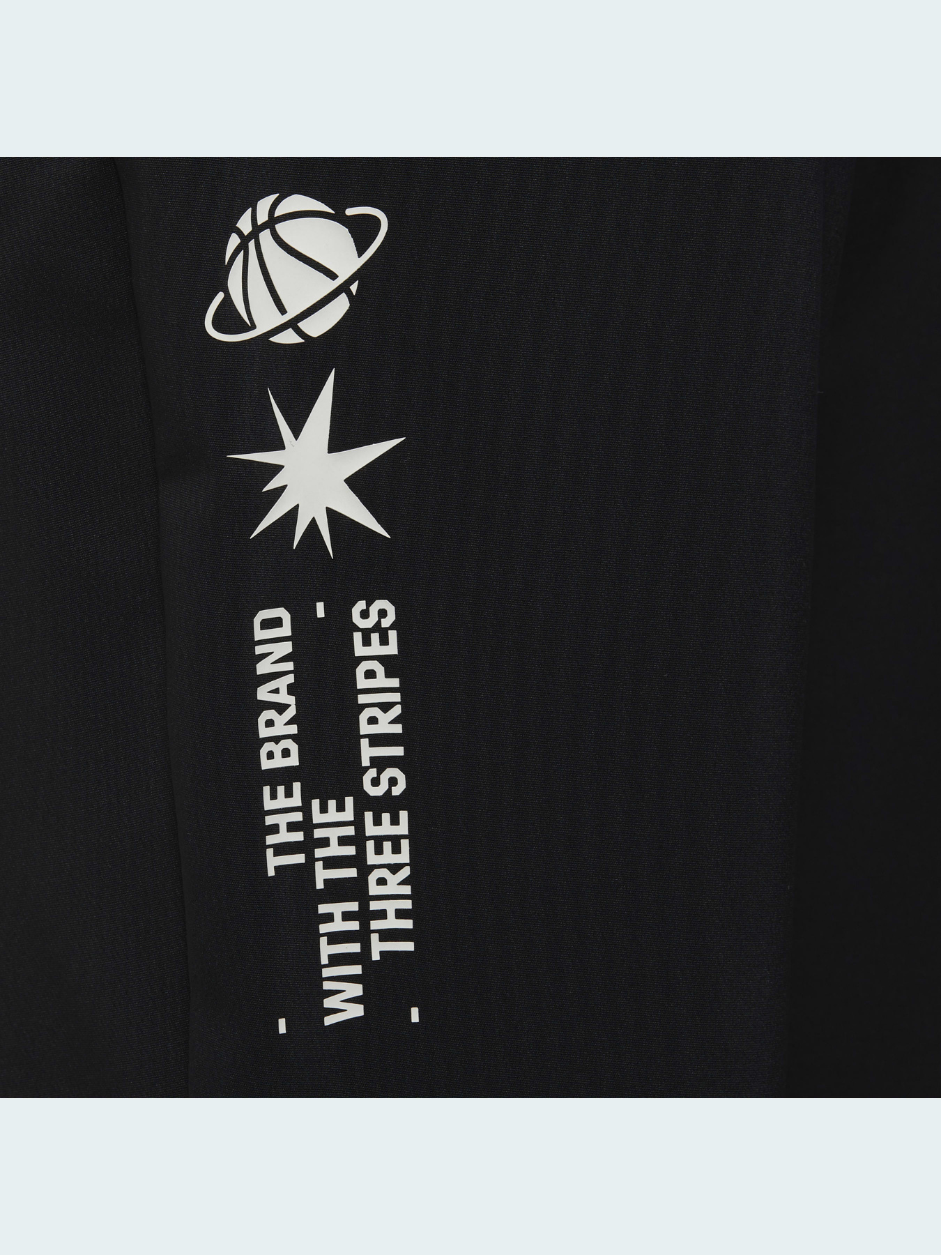 Повседневные штаны Adidas модель GT9411 Фото