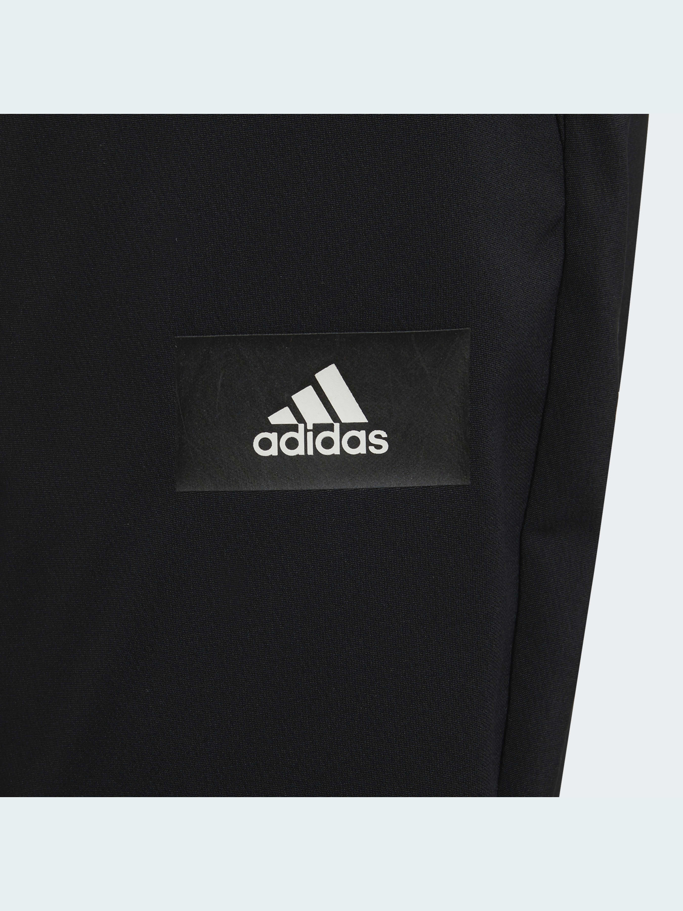 Повседневные штаны Adidas модель GT9411 Фото