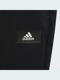 Повседневные штаны Adidas модель GT9411 Фото