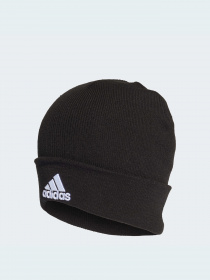 Шапка Adidas модель FS9022 Фото