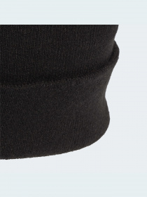 Шапка Adidas модель FS9022 Фото