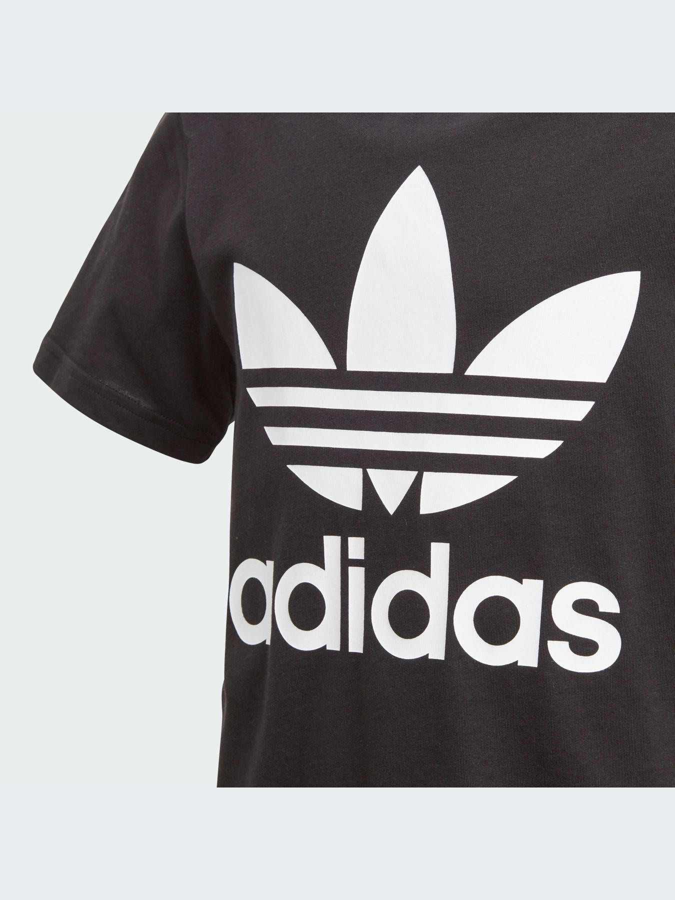 Футболка Adidas Adicolor модель DV2905 Фото