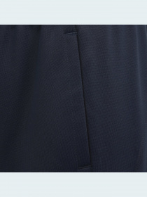 Повсякденні штани Adidas модель GS2194 Фото