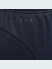 Повсякденні штани Adidas модель GS2194 Фото