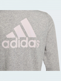 Кофта Adidas модель GS2172 Фото