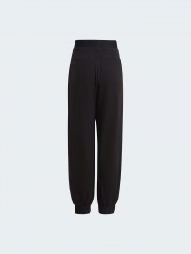 Штани спортивні Adidas модель GT6902 Фото