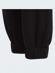 Штани спортивні Adidas модель GT6902 Фото