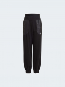 Спортивні штани Adidas модель GT6902 Фото