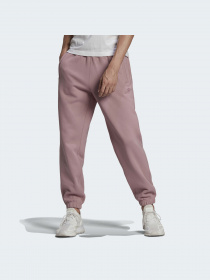 Штани повсякденні Adidas Adicolor модель HC4535 Фото