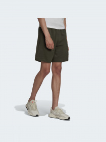 Шорты Adidas Adventure модель HF4768 Фото