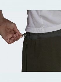 Шорты Adidas Adventure модель HF4768 Фото