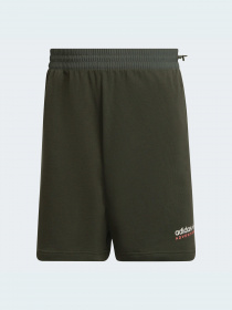 Шорты Adidas Adventure модель HF4768 Фото