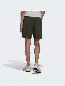 Повседневные шорты Adidas Adventure модель HF4768 Фото