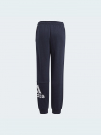 Штани спортивні Adidas модель GN4036 Фото