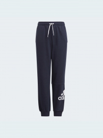 Штани спортивні Adidas модель GN4036 Фото