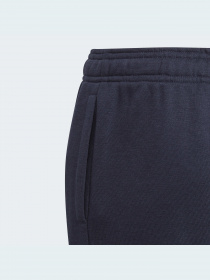 Штаны спортивные Adidas модель GN4036 Штаны спортивные Adidas модель GN4036 Фото