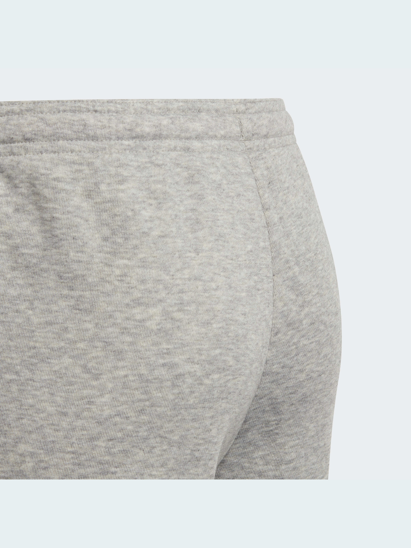 Джоггеры Adidas модель HE1976 Джоггеры Adidas модель HE1976 Фото