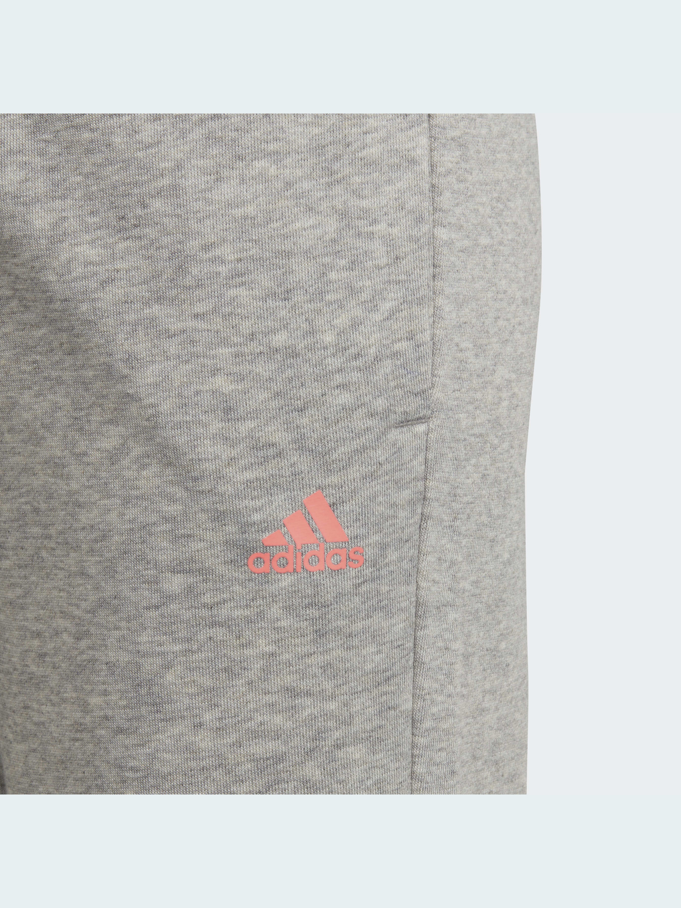 Джоггеры Adidas модель HE1976 Джоггеры Adidas модель HE1976 Фото