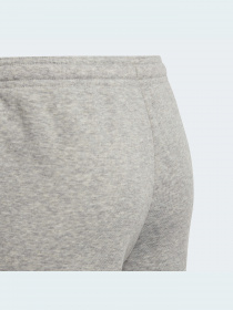 Джоггеры Adidas модель HE1976 Джоггеры Adidas модель HE1976 Фото