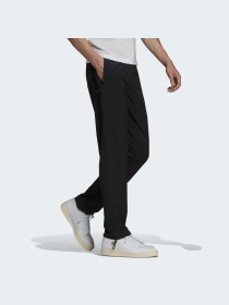 Штани повсякденні Adidas Adicolor модель HC4543 Фото