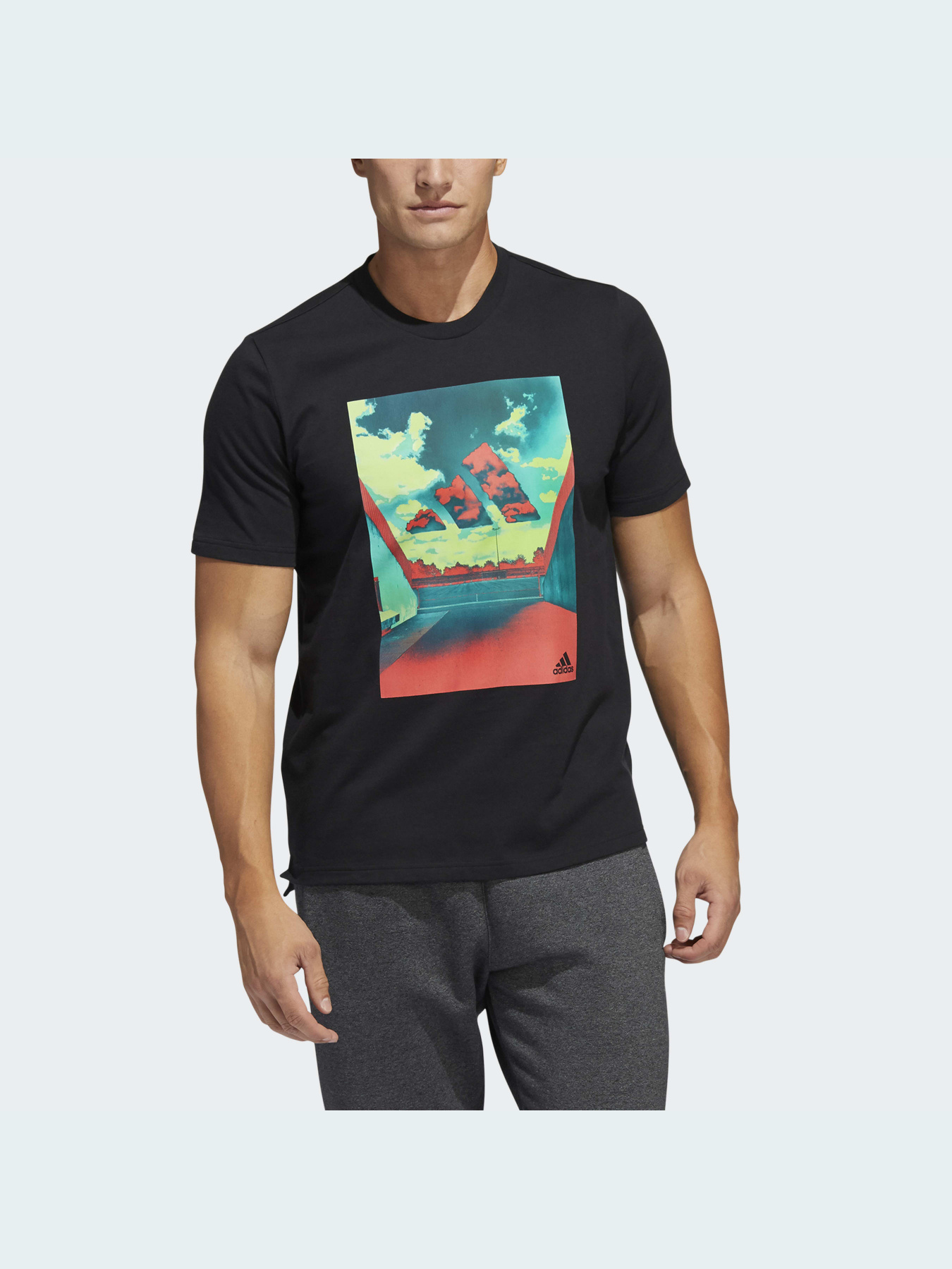 Футболка Adidas Graphics модель HE2302 Фото