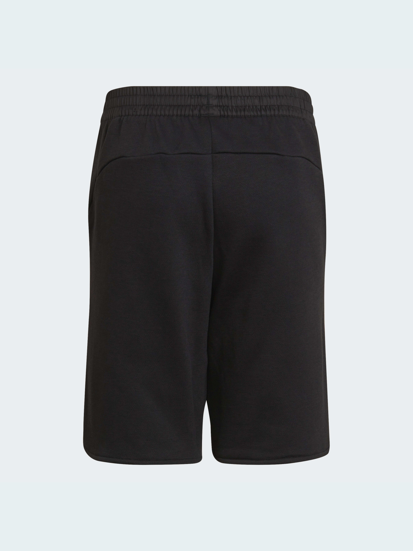 Шорты Adidas модель HA3921 Фото