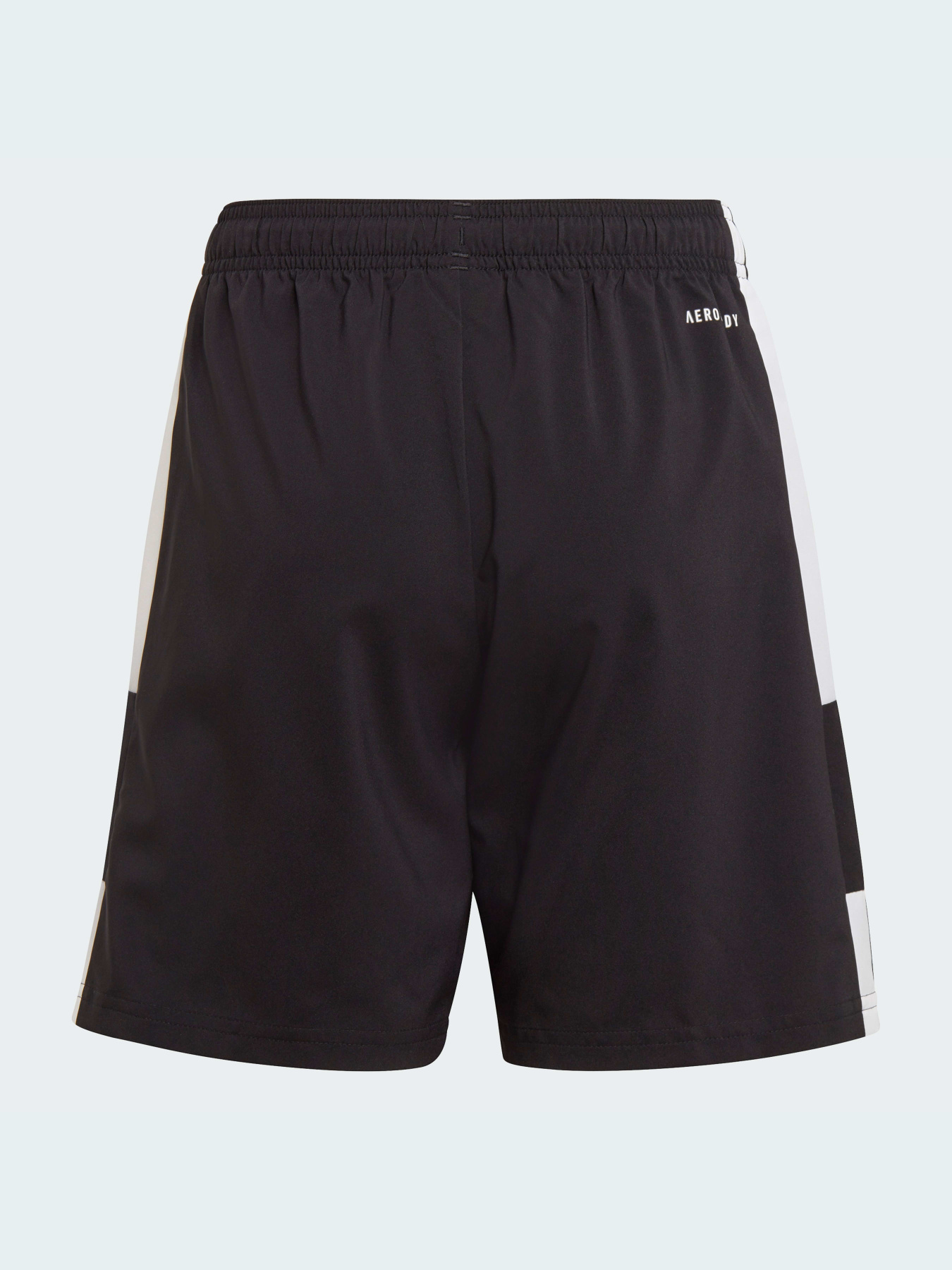 Шорты спортивные Adidas модель GK9550 Фото