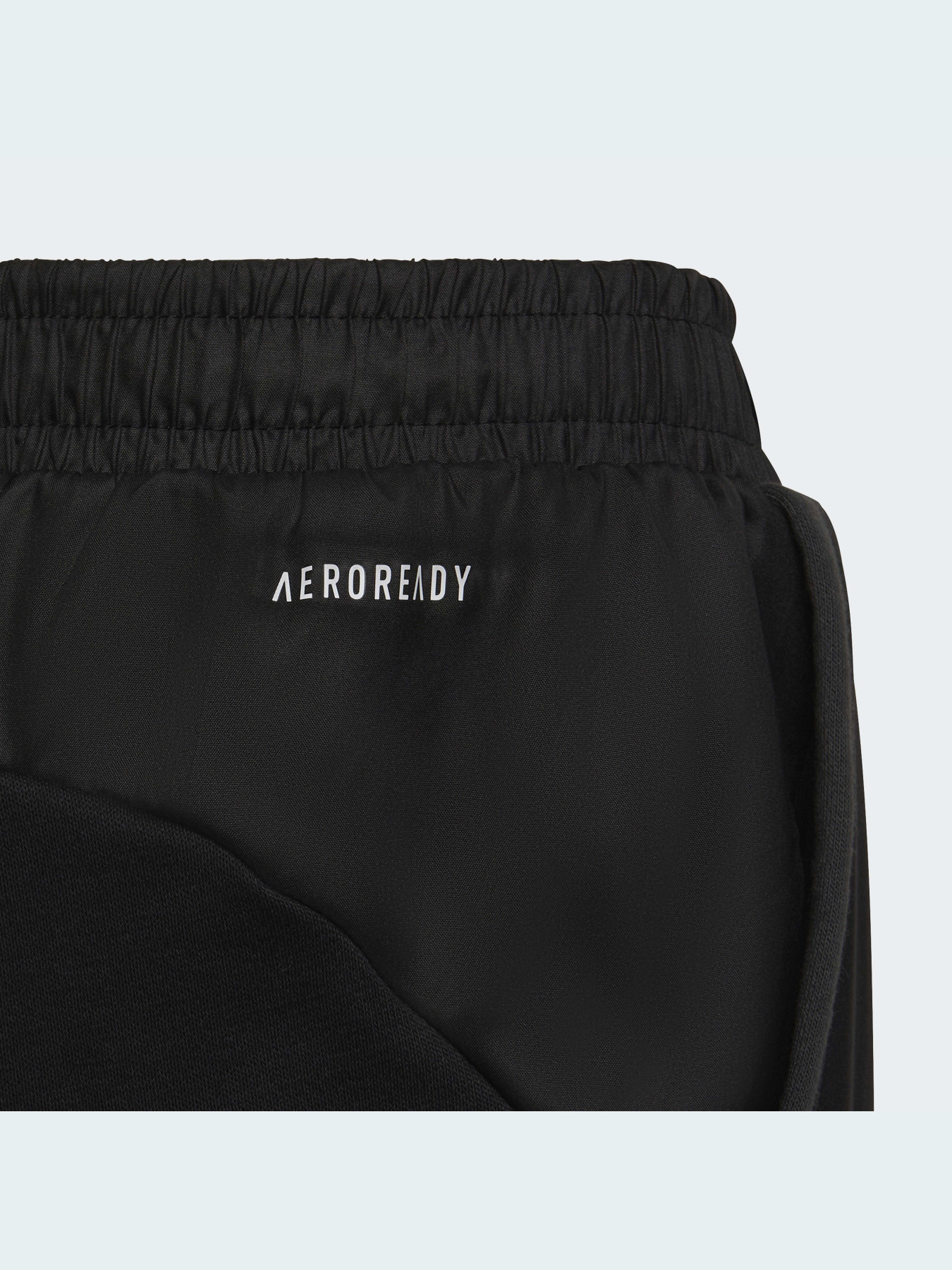 Штаны спортивные Adidas модель HD1806 Фото