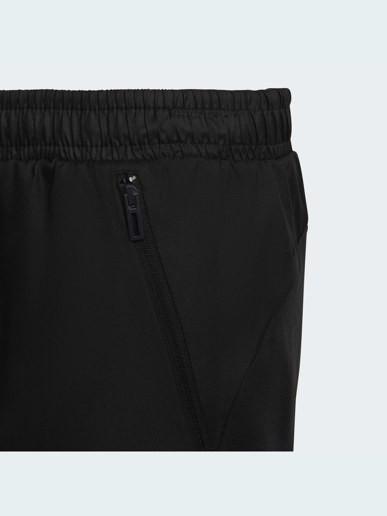 Штаны спортивные Adidas модель HD1806 Фото