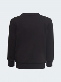 Свитшот Adidas модель H65788 Фото