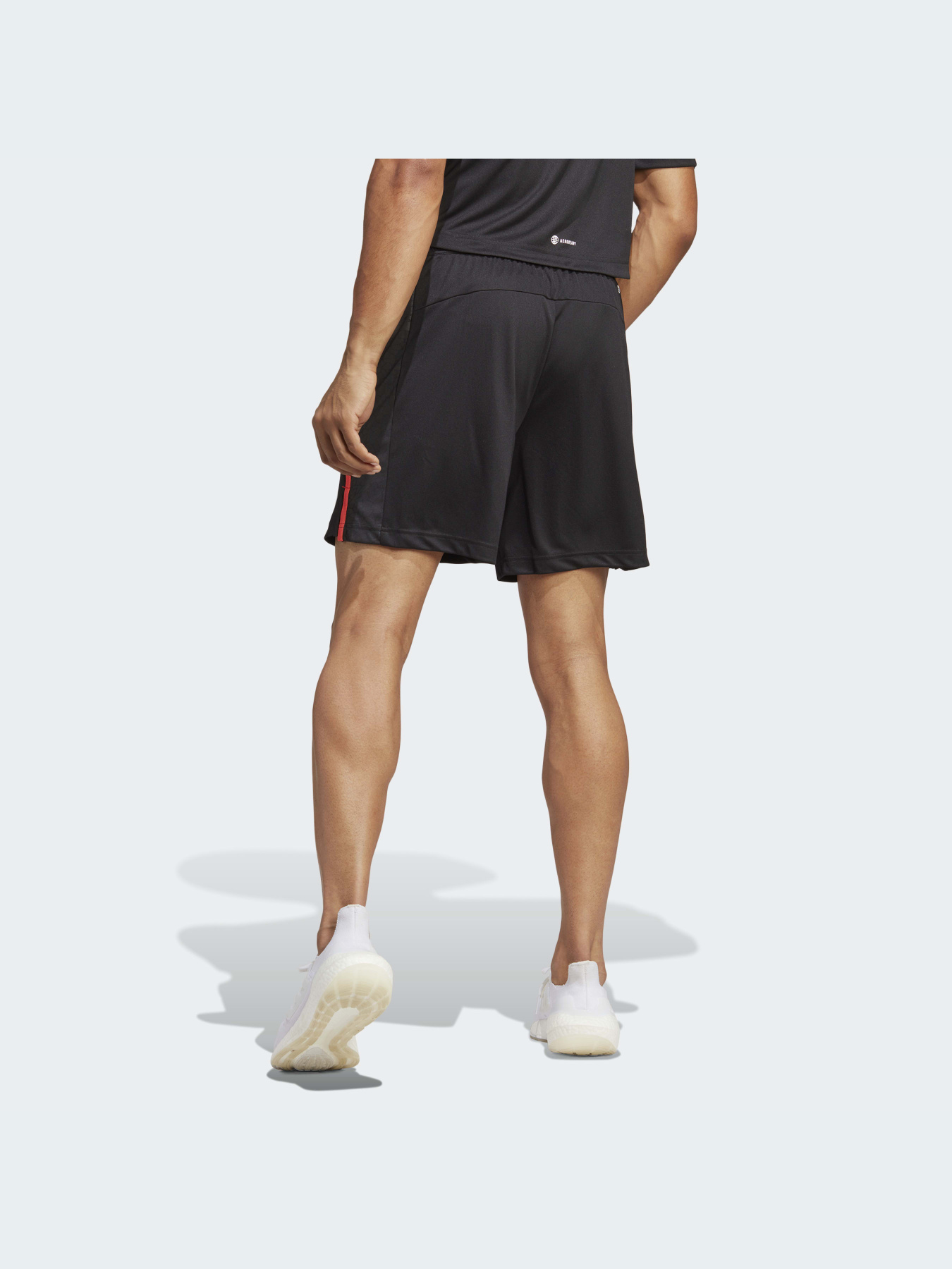 Шорти спортивні Adidas модель IB7892 Фото