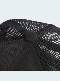 Кепка Adidas Adicolor модель HL9334 Фото