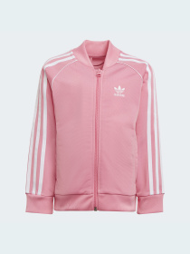 Спортивный костюм Adidas Adicolor модель HK2965 Фото