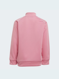 Спортивный костюм Adidas Adicolor модель HK2965 Спортивный костюм Adidas Adicolor модель HK2965 Фото