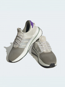 Кросівки для бігу Adidas модель HP3129 Фото