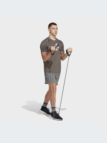 Шорты спортивные Adidas модель HR8195 Фото