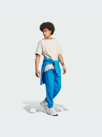 Футболка Adidas Adicolor модель IM4387 Фото