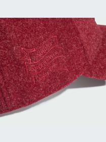 Кепка Adidas модель IJ7300 Фото