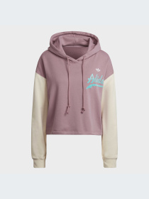 Худі Adidas Graphics модель HD9784 Фото