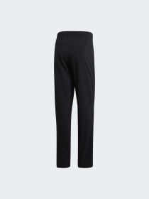 Штаны спортивные Adidas модель DY3279 Фото