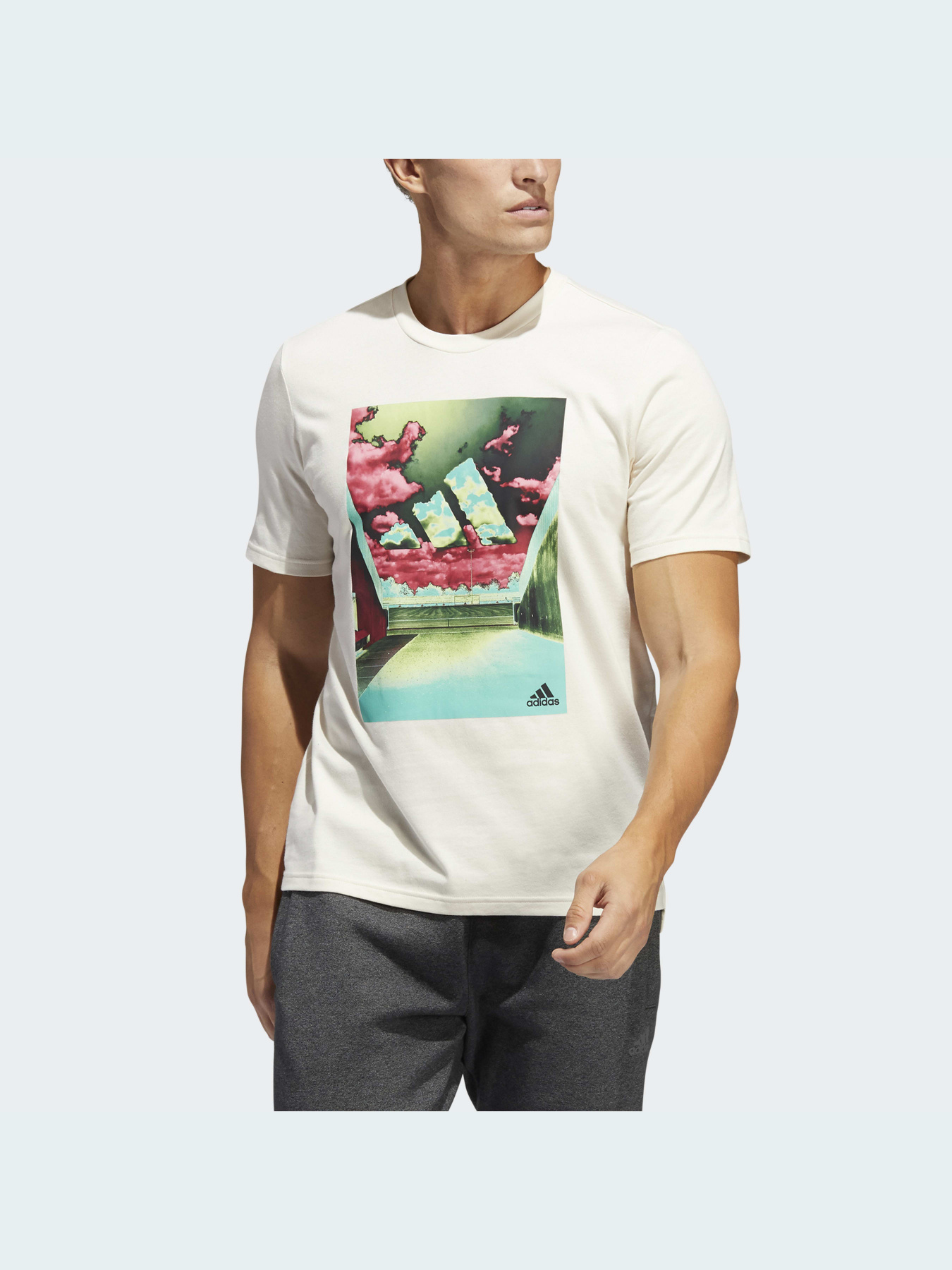 Футболка Adidas Graphics модель HE2309 Фото