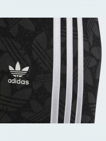 Легінси Adidas Graphics модель HF4871 Фото