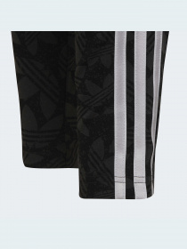 Легінси Adidas Graphics модель HF4871 Фото