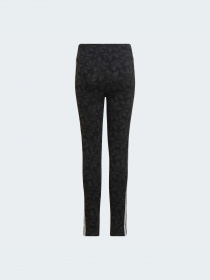 Легінси Adidas Graphics модель HF4871 Фото