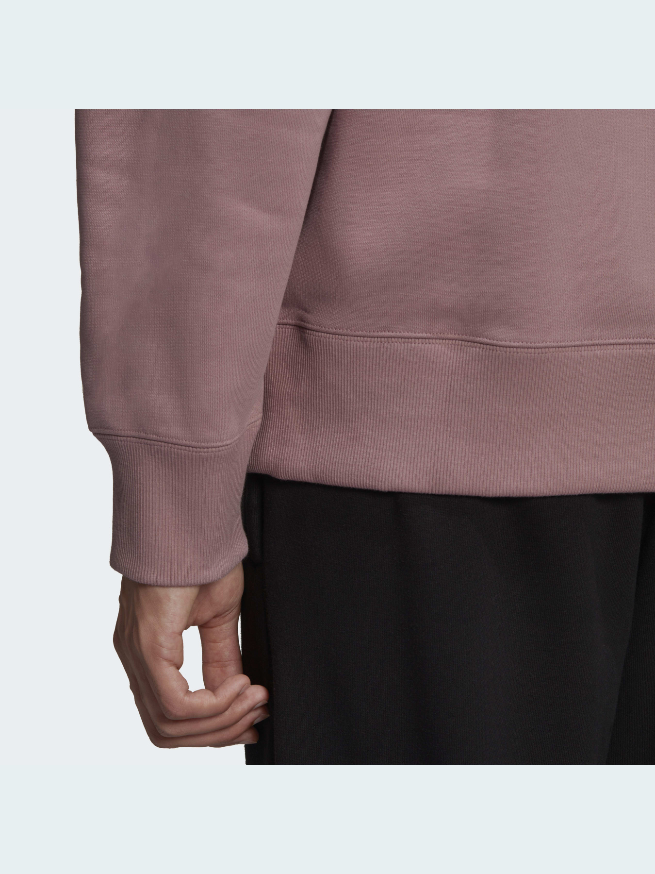 Свитшот Adidas Adicolor модель HC4528 Фото