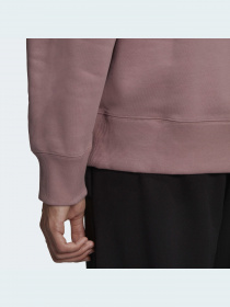 Свитшот Adidas Adicolor модель HC4528 Фото