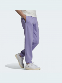 Джогери Adidas Graphics модель HC7147 Фото