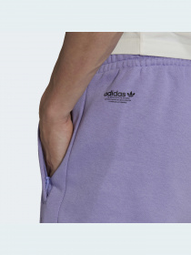 Джоггеры Adidas Graphics модель HC7147 Фото