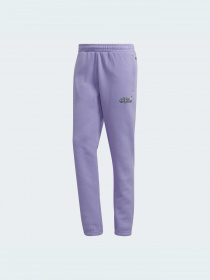 Джоггеры Adidas Graphics модель HC7147 Фото